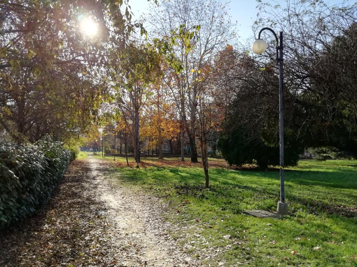La Mia Mansardina Διαμέρισμα Collegno Εξωτερικό φωτογραφία